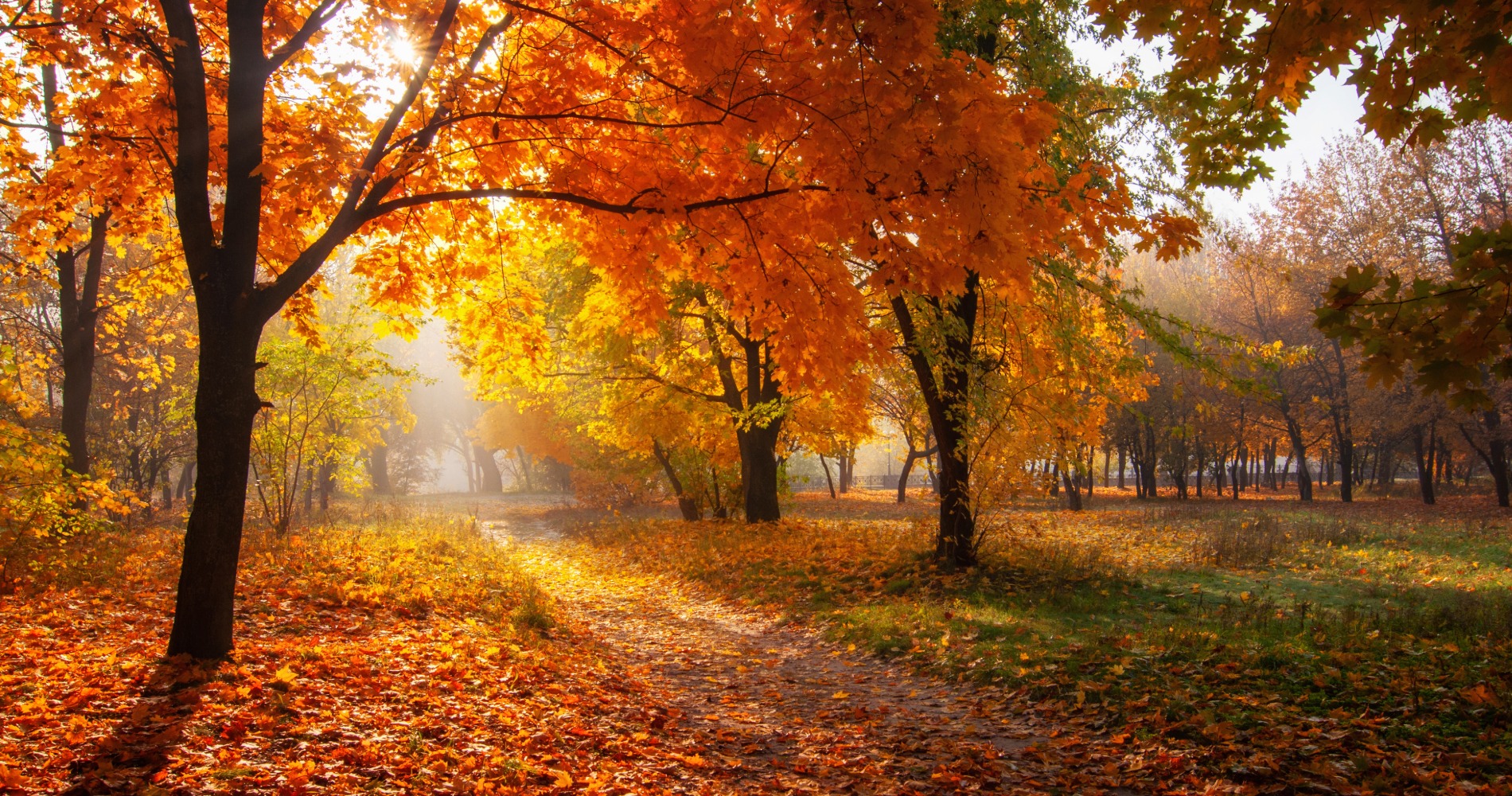 Autumn atmosphere image for Eva Koukoura's profile
